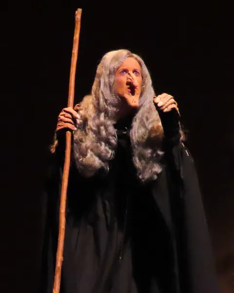Into the Woods production photo